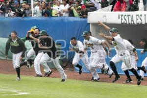 PERICOS CAMPEONES ZONA SUR