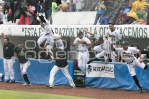 PERICOS CAMPEONES ZONA SUR