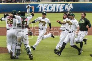 PERICOS CAMPEONES ZONA SUR