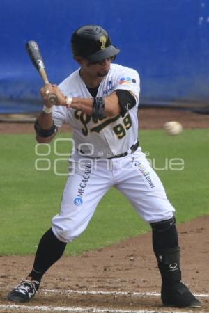 PERICOS CAMPEONES ZONA SUR