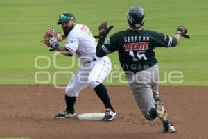 PERICOS CAMPEONES ZONA SUR