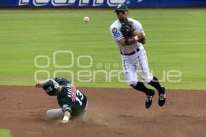 PERICOS CAMPEONES ZONA SUR