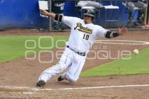 PERICOS CAMPEONES ZONA SUR