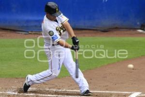 PERICOS CAMPEONES ZONA SUR