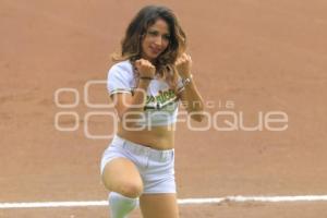 PERICOS CAMPEONES ZONA SUR