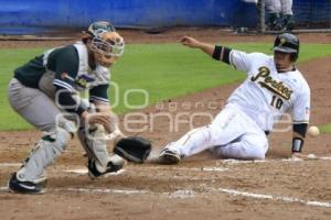 PERICOS CAMPEONES ZONA SUR