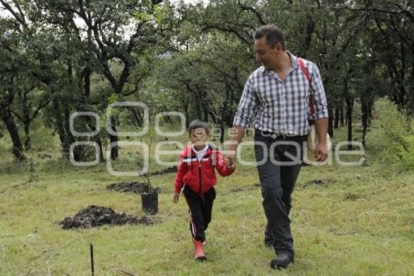 JORNADA DE REFORESTACIÓN