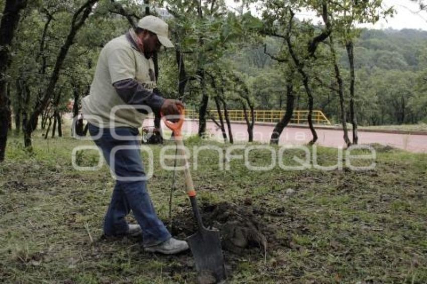 JORNADA DE REFORESTACIÓN