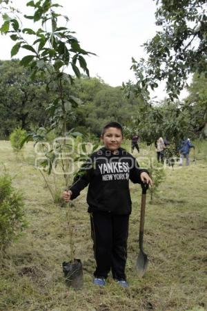 JORNADA DE REFORESTACIÓN