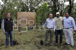 JORNADA DE REFORESTACIÓN