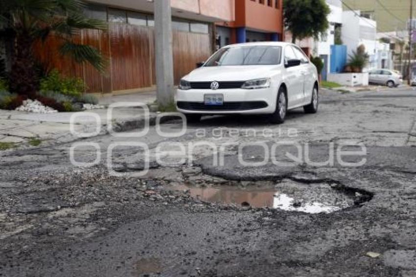 BACHES