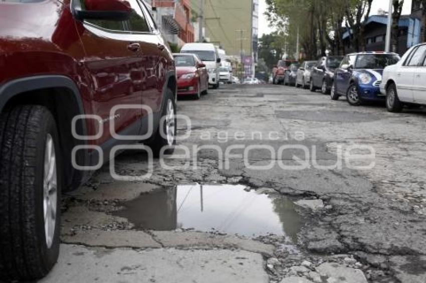 BACHES