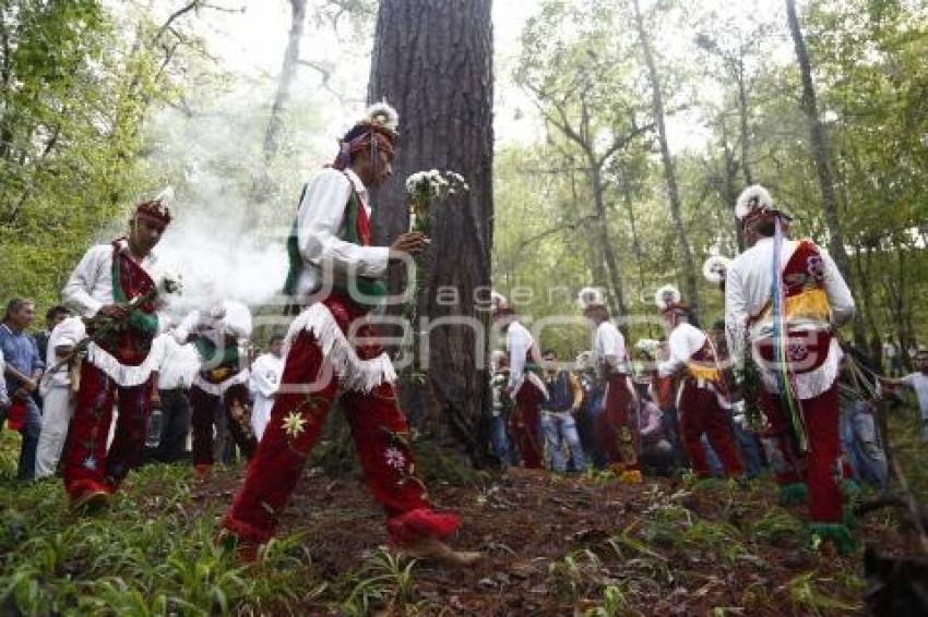 RITUAL VOLADORES DE CUETZALAN