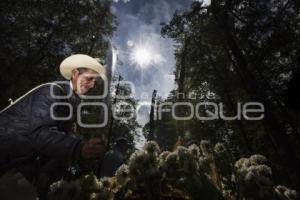 RITUAL VOLADORES DE CUETZALAN