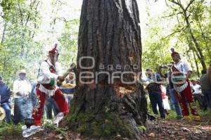 RITUAL VOLADORES DE CUETZALAN