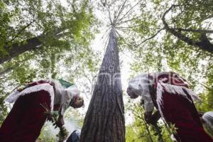 RITUAL VOLADORES DE CUETZALAN