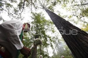 RITUAL VOLADORES DE CUETZALAN