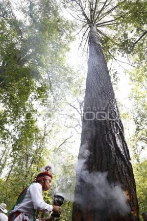 RITUAL VOLADORES DE CUETZALAN