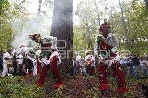 RITUAL VOLADORES DE CUETZALAN