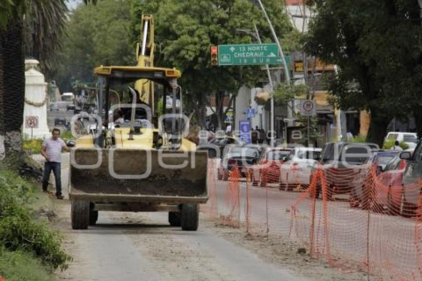 OBRAS . AVENIDA JUÁREZ