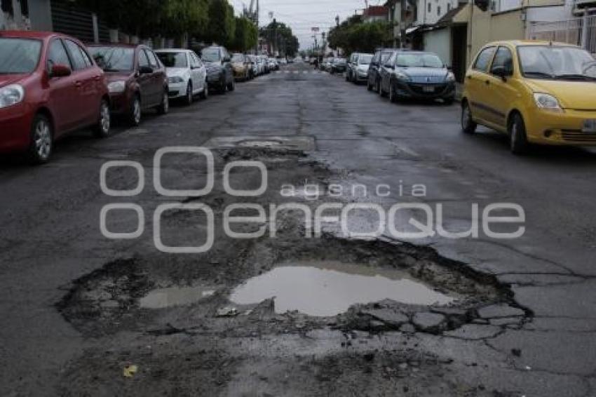 BACHES