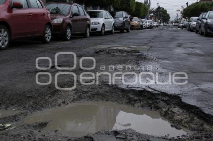 BACHES