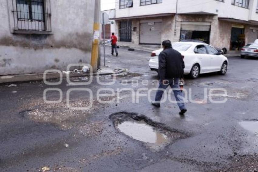 BACHES