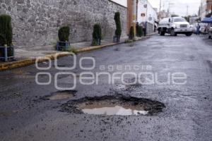 BACHES