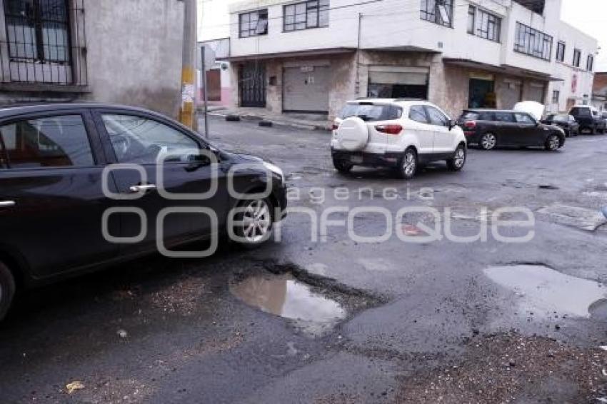 BACHES