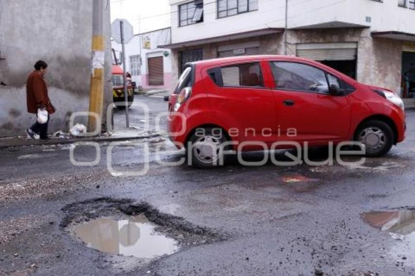 BACHES