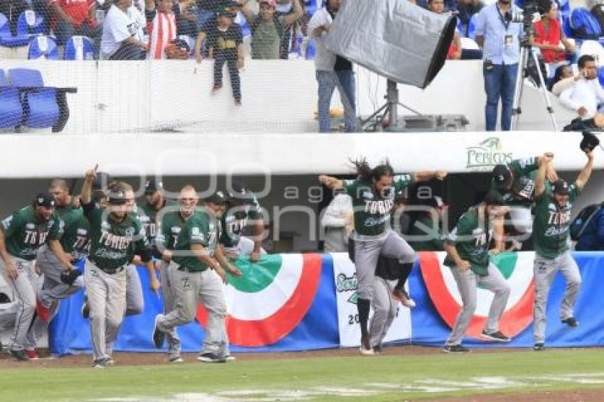 TOROS CAMPEONES SERIE DEL REY 2017