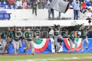 TOROS CAMPEONES SERIE DEL REY 2017