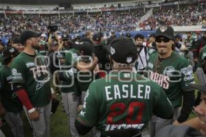 TOROS CAMPEONES SERIE DEL REY 2017