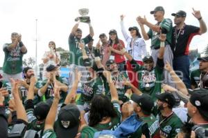 TOROS CAMPEONES SERIE DEL REY 2017