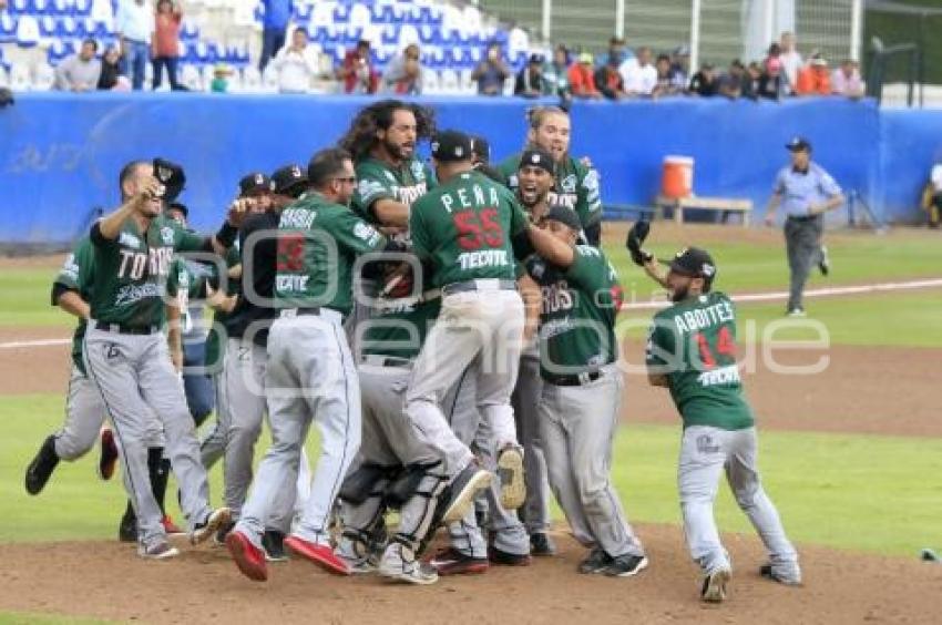 TOROS CAMPEONES SERIE DEL REY 2017