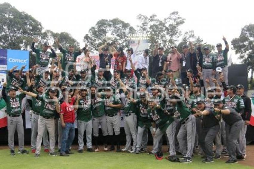 TOROS CAMPEONES SERIE DEL REY 2017