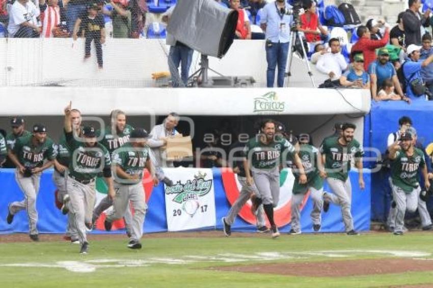 TOROS CAMPEONES SERIE DEL REY 2017