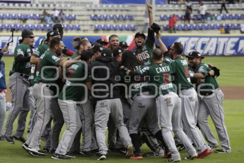 TOROS CAMPEONES SERIE DEL REY 2017