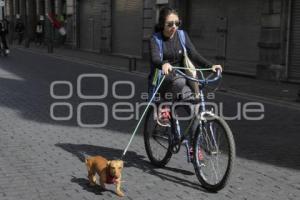 CICLOVÍA  ZÓCALO