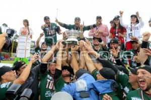 TOROS CAMPEONES SERIE DEL REY 2017