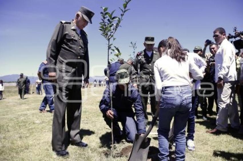 INDUSTRIA MILITAR . LA CÉLULA