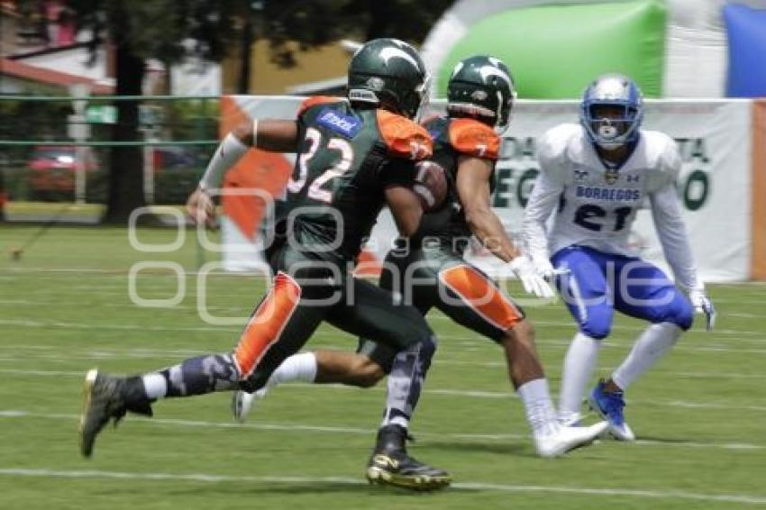 FUTBOL AMERICANO . AZTECAS VS BORREGOS