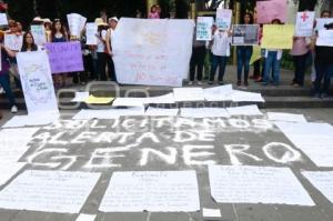 MANIFESTACIÓN . ALERTA DE GÉNERO