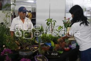 FORO GLOBAL AGROALIMENTARIO