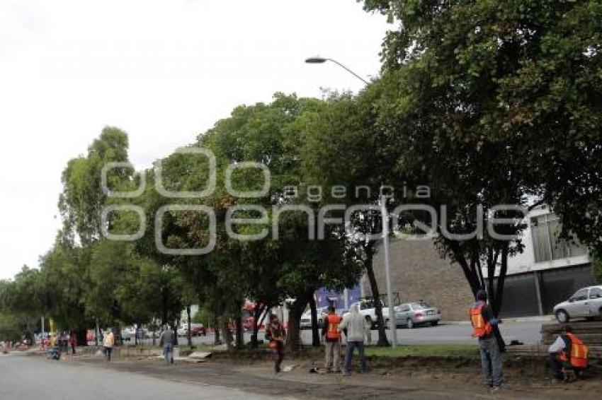 LÍNEA 3 METROBÚS