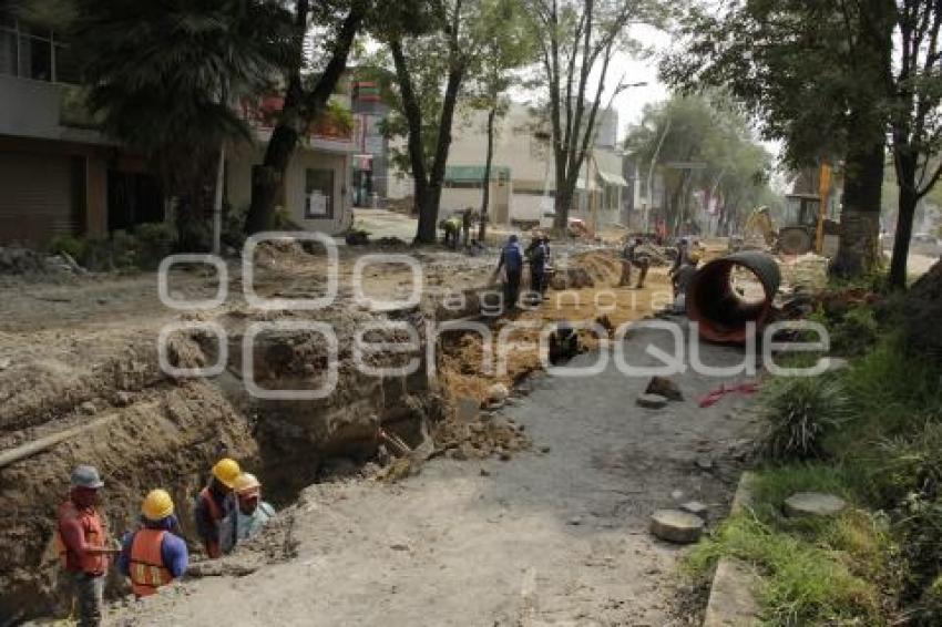 AVENIDA JUÁREZ