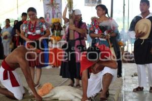 FESTIVAL MOLE DE CADERAS