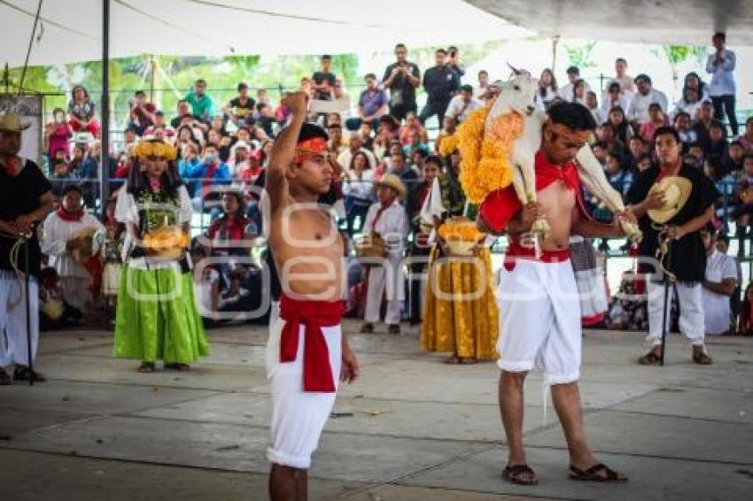 FESTIVAL MOLE DE CADERAS