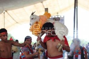 FESTIVAL MOLE DE CADERAS