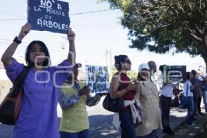 MANIFESTACIÓN CONTRA TALA DE ÁRBOLES